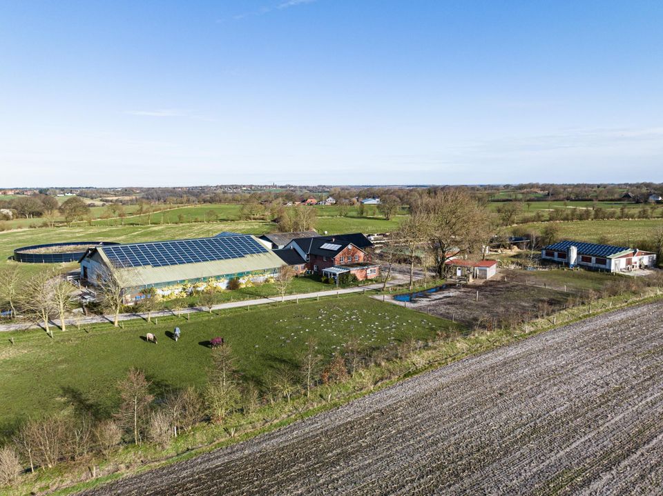 Landwirtschaftlicher Betrieb mit ca. 20 ha Grundstück/Ländereien in Harrislee in Harrislee