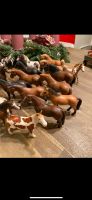 Schleich Pferde Stück 4€ Niedersachsen - Oldenburg Vorschau