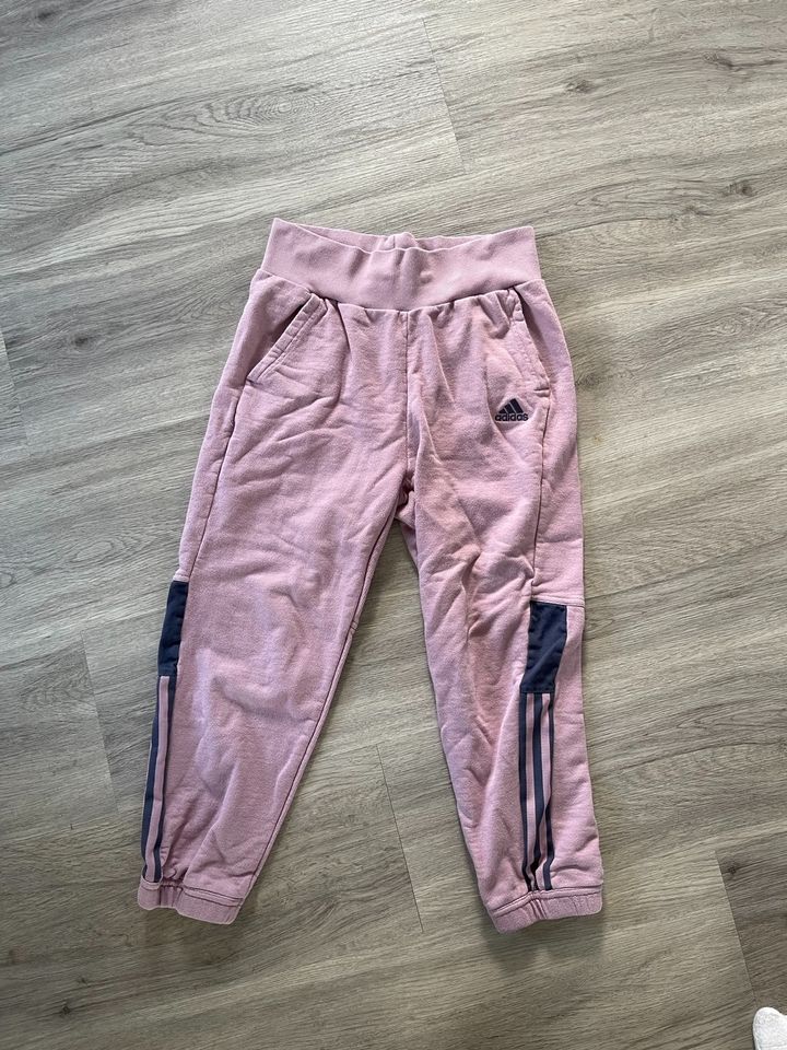 Adidas Jogginghose M rosa rose in Bergrheinfeld