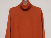 Damen Pullover Gr.42 Basler Rostfarbe 100% Schurwolle Nordrhein-Westfalen - Detmold Vorschau