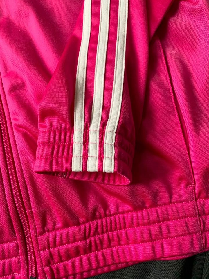 Adidas Trainings Anzug Gr. 176 Sport pink anthrazit weiß 36 S M in Arnsberg