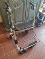 Trendmobil Rollator *kaum benutzt* Niedersachsen - Diepholz Vorschau