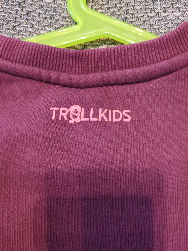 Trollkids Pullover Hoodie Gr. 116 in Cattenstedt