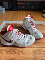 Nike LeBron James Basketball Schuhe !WIE NEU! Niedersachsen - Braunschweig Vorschau