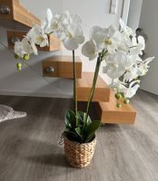 künstliche Orchidee 80cm Durchmesser Topf 18cm Niedersachsen - Weyhausen Vorschau