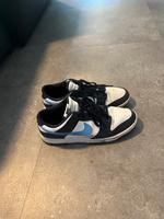 Nike Dunks Schuhe low Hessen - Volkmarsen Vorschau