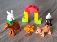 Lego Duplo Bauernhof-Tiere Sachsen - Coswig Vorschau