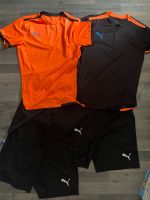 2x Puma Shirt Trikot und Shorts Hose Gr. S Team Liga Jersey Baden-Württemberg - Weinheim Vorschau