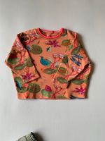 Oilily Sweatshirt 4y (104), ab 92/98 und dann lange tragbar Bayern - Lindau Vorschau