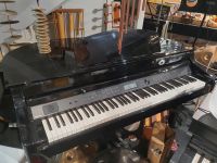 Medeli Digitalflügel E-Piano Flügel Grand510 Schwarz Hochglanz Hannover - Mitte Vorschau