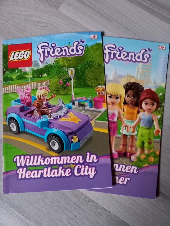 Lego Friends Bücher in Katlenburg-Lindau