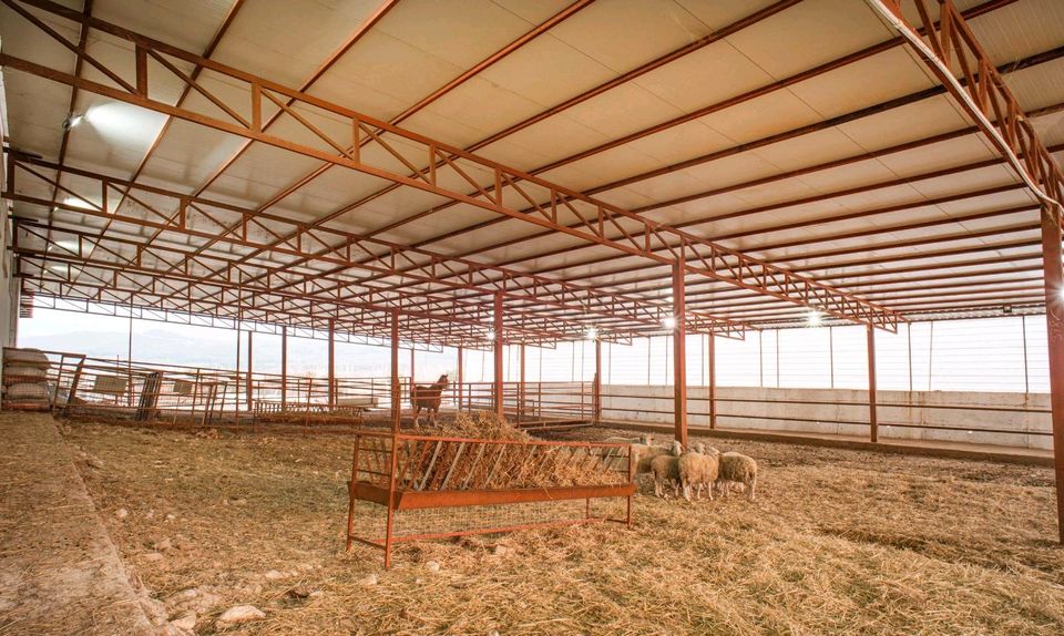 Bauernhof Ihr Träume in Yatagan,  Türkei zu verkaufen in Rodalben