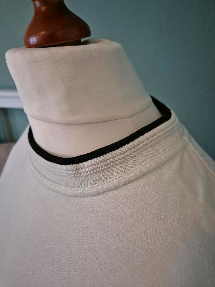 Pulli Crewneck Sweater / XL beige / steve menswear in Siegen