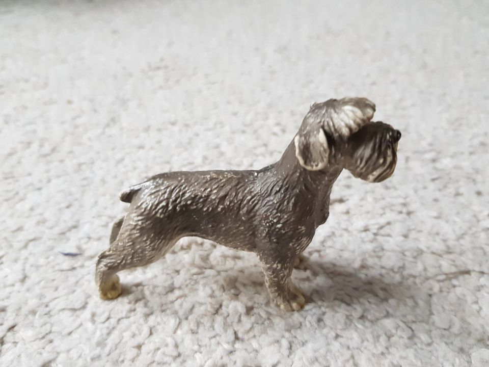 Schleich Hunde Golden Retriever und großer Schnauzer? in Düsseldorf