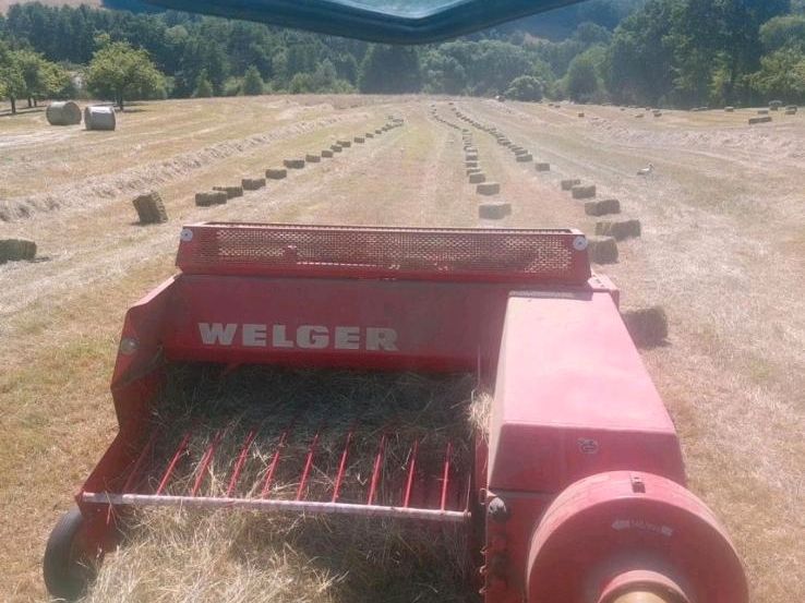 Heu HD-Ballen kleine Ballen Top Qualität Staubarm in Rimbach