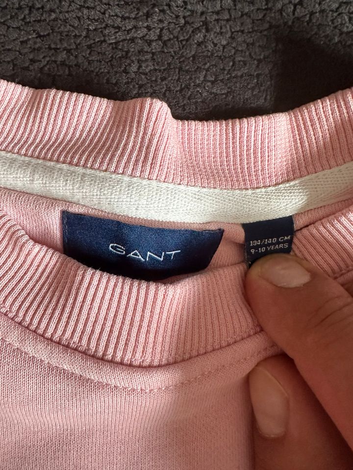 Gant Pullover in Plüderhausen