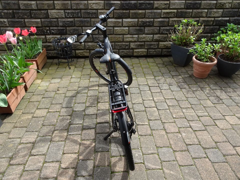 SCOTT e-Bike E-SUB 10 Sport Größe M super Zustand in Sundern (Sauerland)
