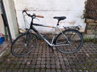 Fahrrad Herren 28 XL Marke Rixe Niedersachsen - Ronnenberg Vorschau