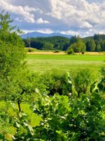 EFH freistehend ruhige Lage in Grünen Bayern - Oberhausen Vorschau