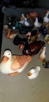 Figuren, Deko, Enten und Tiere Bayern - Holzkirchen Vorschau