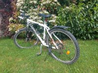 Mountainbike 26 Zoll Hessen - Butzbach Vorschau