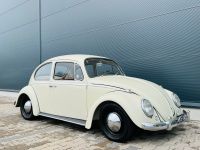 VW Käfer 1300 Pearweiss 1966 Sachsen - Görlitz Vorschau