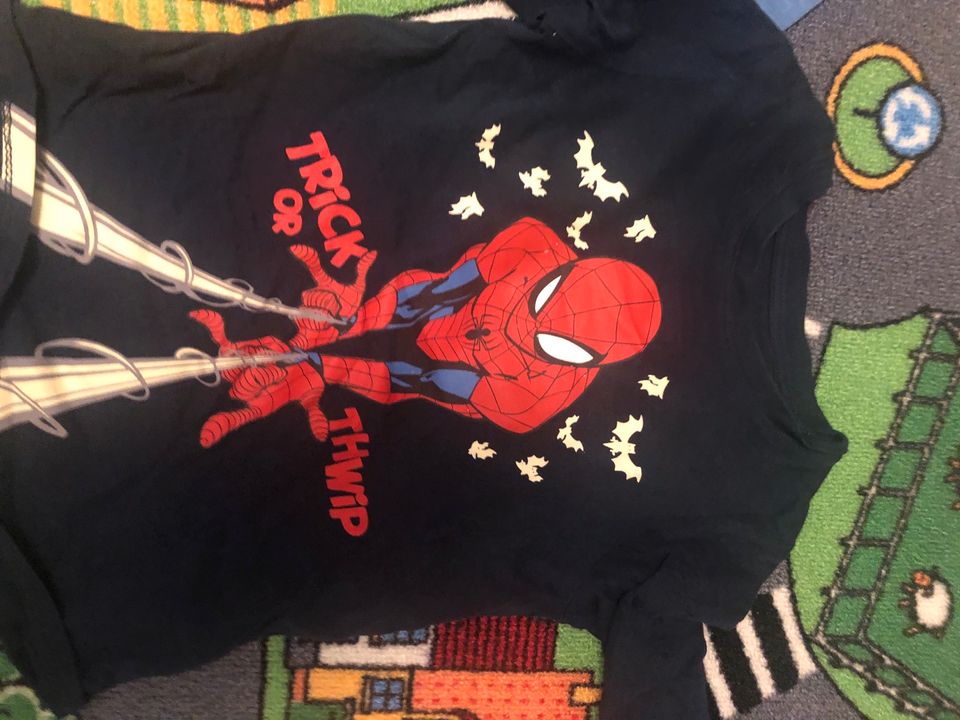 Jungen Langarmshirts spiderman ninjago Dinosaurier Gr. 104-110 in Leipzig