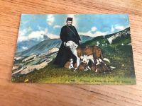 antike Postkarte Bernhadiner Mönch mit St. Bernhardshund Welpen Hamburg-Mitte - Hamburg Altstadt Vorschau