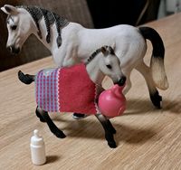 Schleich Horse Club Set, Spielspaß mit Fohlen Nordrhein-Westfalen - Sundern (Sauerland) Vorschau