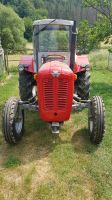 Massey Ferguson 35 Rheinland-Pfalz - Hausten Vorschau