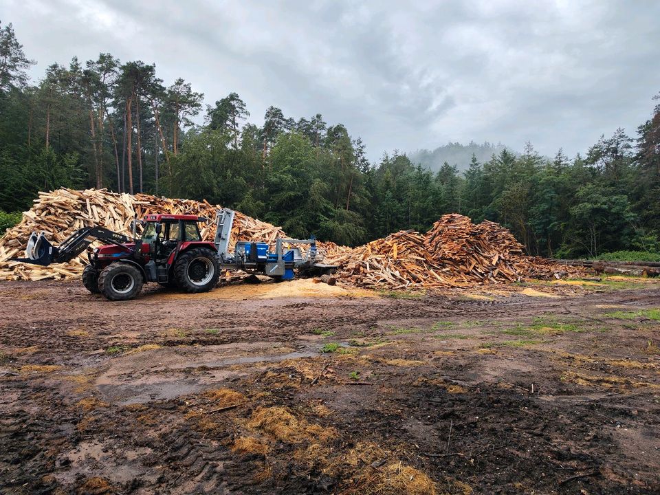 Lohnspalten Brennholzaufbereitung in Dahn