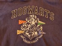 Harry Potter Hoddie von H&M - Gr 158/164 Leipzig - Möckern Vorschau