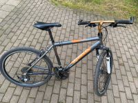 Germatec Fahrrad 26 Zoll Rostock - Evershagen Vorschau