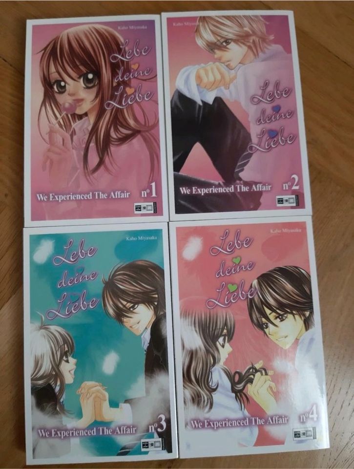 Manga Lebe deine Liebe Band 1 bis 9 neuwertig in Dresden