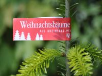 Weihnachtsbäume aus Rheinland-Pfalz Rheinland-Pfalz - Wiebelsheim Vorschau