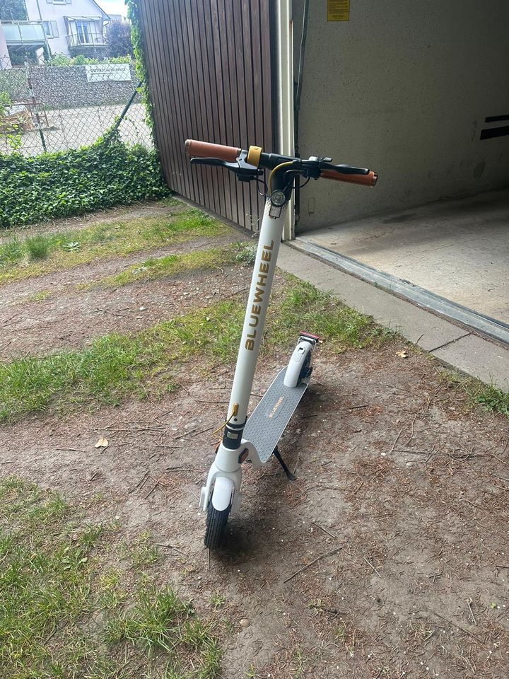 E-Scooter/Roller in Offenburg