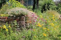 Gärtner / Gartenhelfer Sachsen - Eilenburg Vorschau