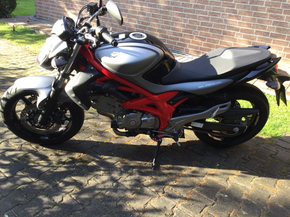 Motorrad Suzuki Gladius in Berlin