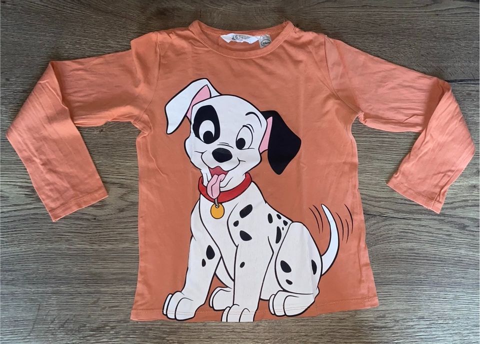 Langarmshirts H&M Gr 122/128 Disney Löwe Simba Shir Khan Tiger in Hohenstein-Ernstthal