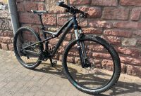 Specialized Rumor/Stumpjumper FSR 29" Bayern - Stadtprozelten Vorschau