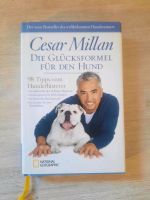 ♡ Cesar Millan - Die Glücksformel für den Hund Hessen - Bad Salzschlirf Vorschau