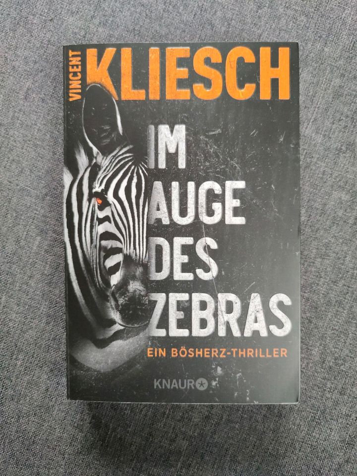 Vincent Kliesch: Im Auge des Zebras in Northeim