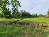 Natur pur, Baugrundstück, 3000 m² im Oderbruch zu verkaufen Brandenburg - Küstriner Vorland Vorschau