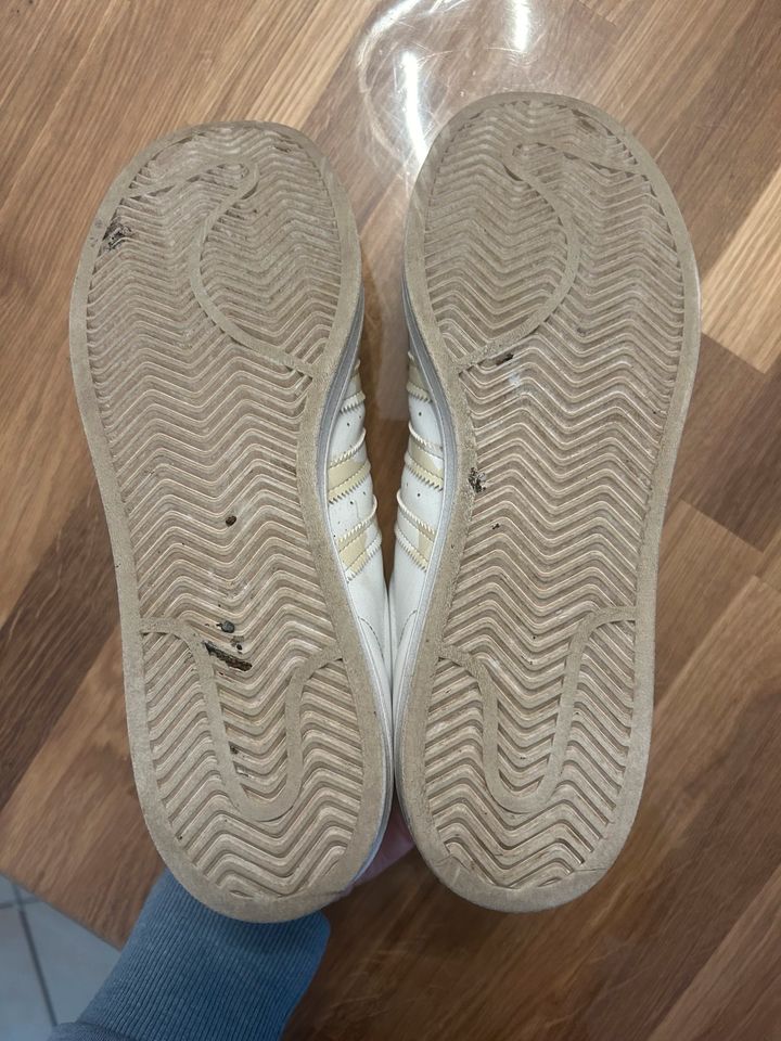 Adidas Superstar, weiß, sehr gut erhalten, Größe 43 1/3 in Bonn