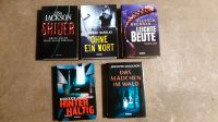 Bücher Thriller Baden-Württemberg - Karlsruhe Vorschau