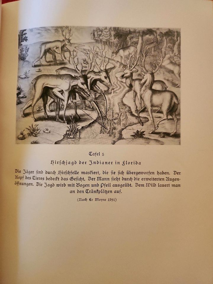 Schiffbrüche Die Unglücksfahrt der Narvaez-Expedition 1925 in Landshut