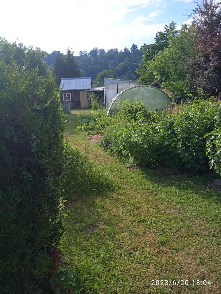 Schrebergarten in Frankenberg (Eder)