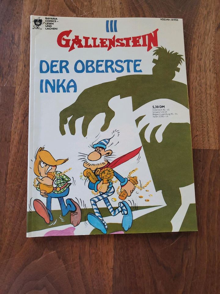 Comic Gallenstein der oberste Inka in Kleinostheim