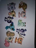 Littlest pet shop lps Sammelfiguren Schwein Hamster Affe Schnecke Rheinland-Pfalz - Ingelheim am Rhein Vorschau