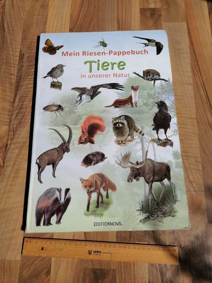 Mein Riesen-Pappebuch Tiere in unserer Natur in Recklinghausen